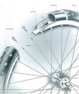 Parts of a bike wheel