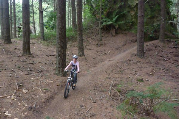 Single Track.  Rotorua Mountain Biking. goRide