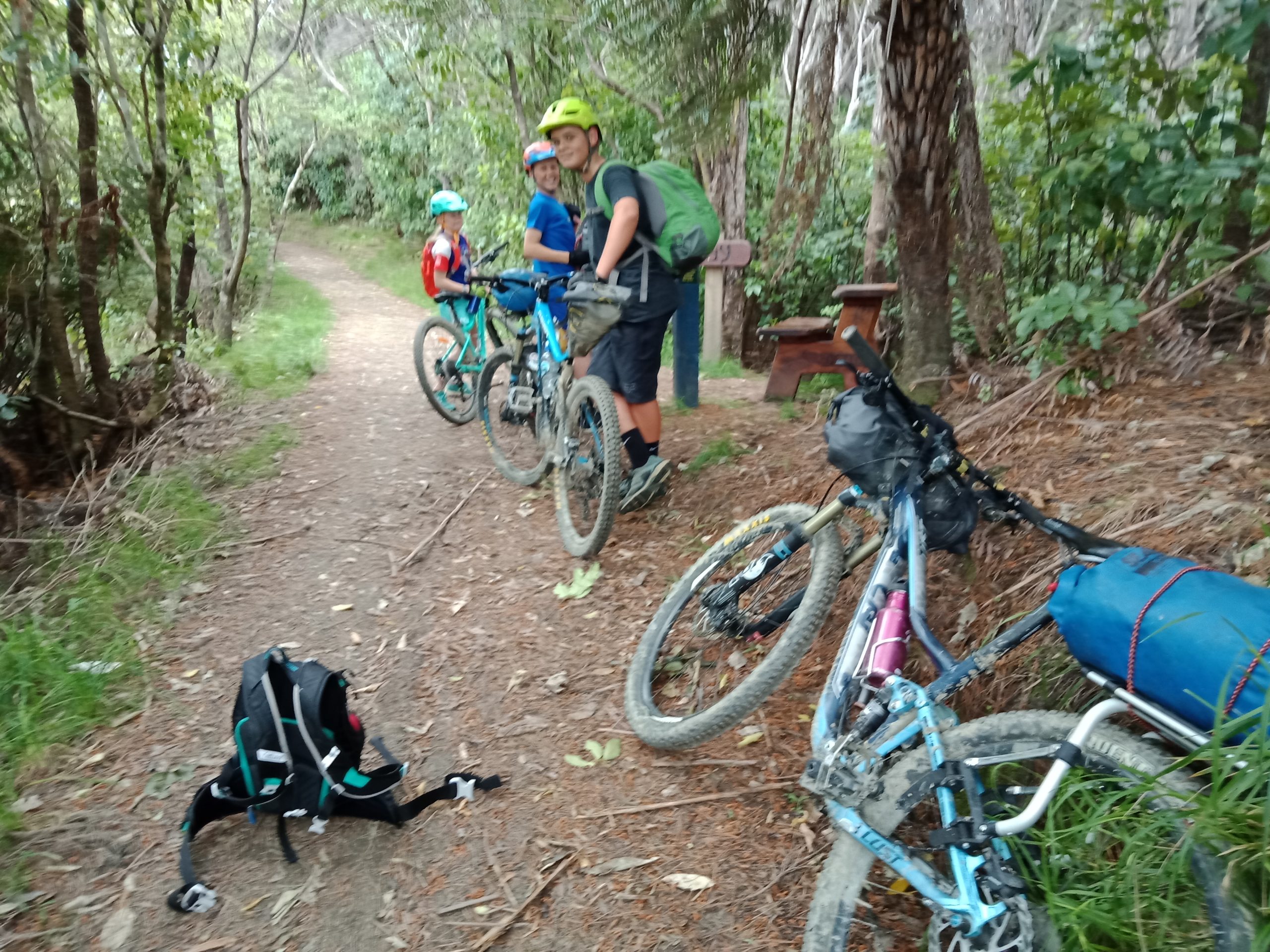Anakiwa to Mistletoe Bay – Queen Charlotte Track – Riding with Kids