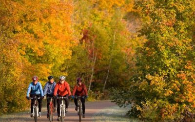 Autumn Riding Tips – Enjoy More Time on Your Bike