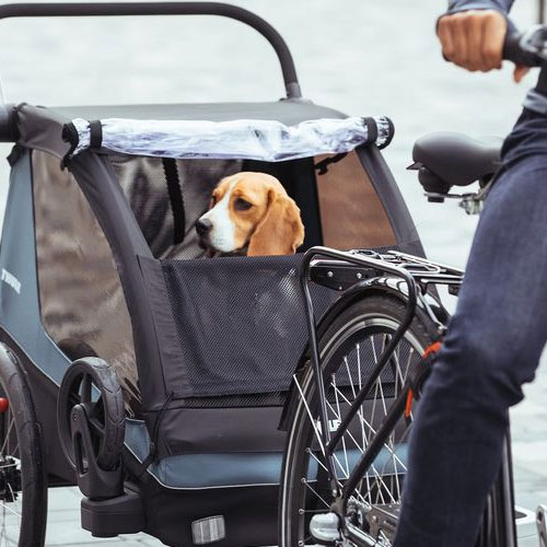 Cargo Bike Trailer & Dog Kit COMBO